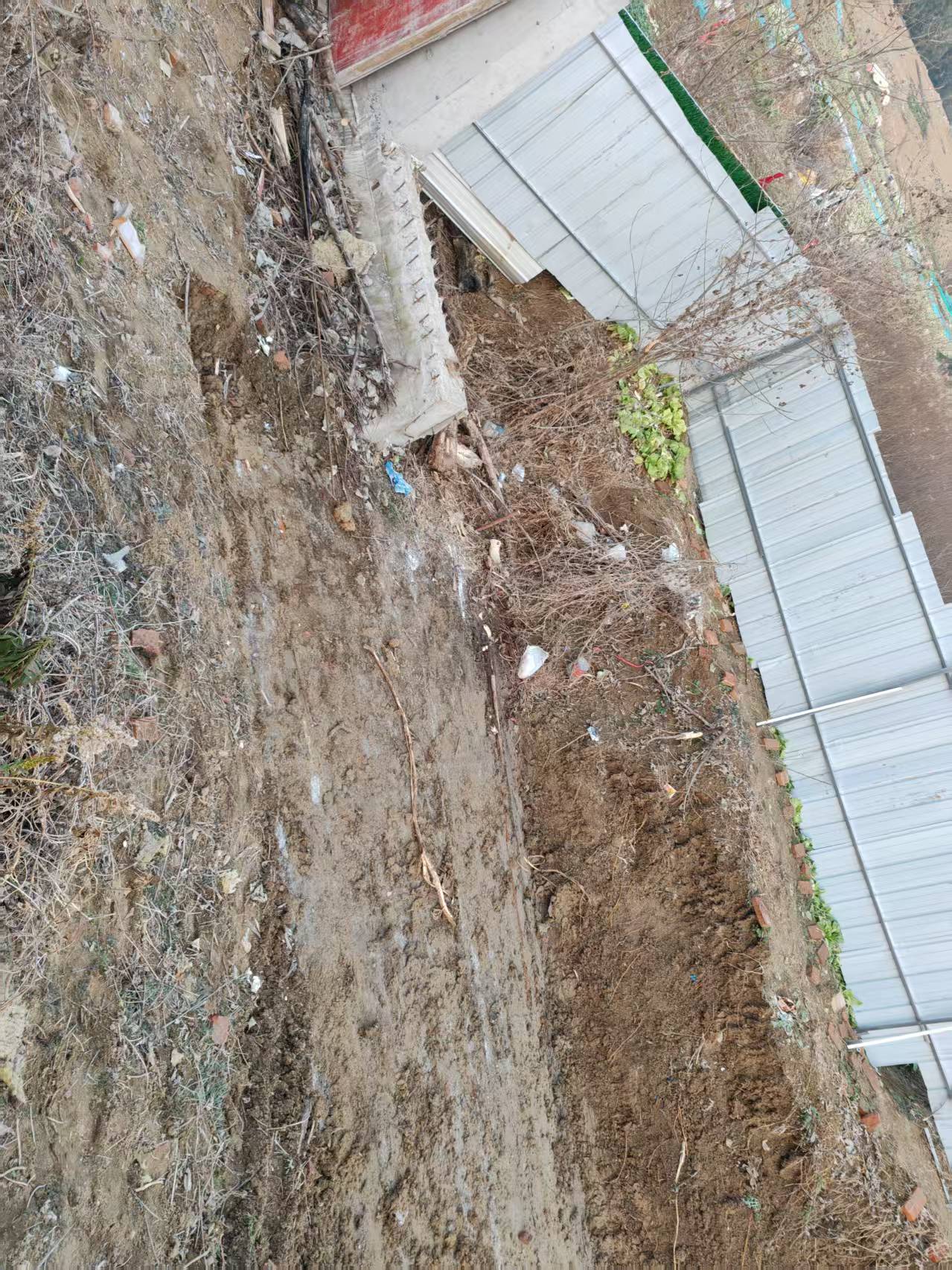 微信图片_20250304170033.jpg